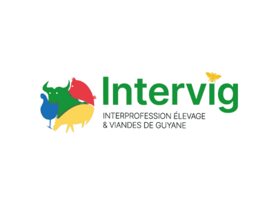 INTERVIG
